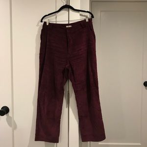 Velvet pants